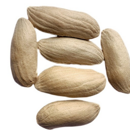 Sweet "Golden Honey" Dwarf Mango Tree Seeds (Grow at Home)
