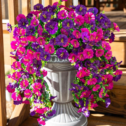 EternaBloom - Maintenance-Free Garden Flowers