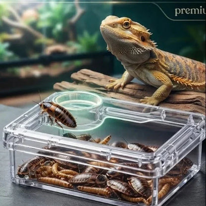 TerraLock – Premium Anti-Escape Reptile Feeding Dish