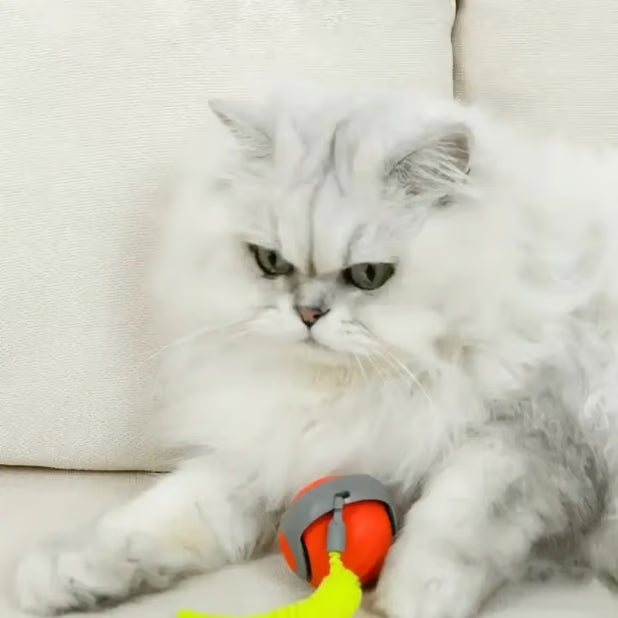 CatChase – Electric Rolling Ball