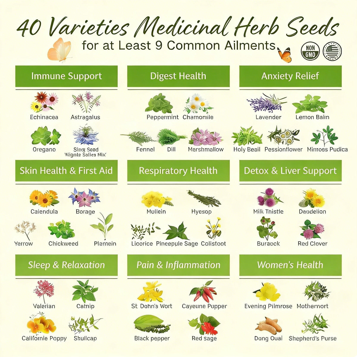 The Ancestral Apothecary Seed Chest: 40 Varieties of Medicinal Herb Seeds