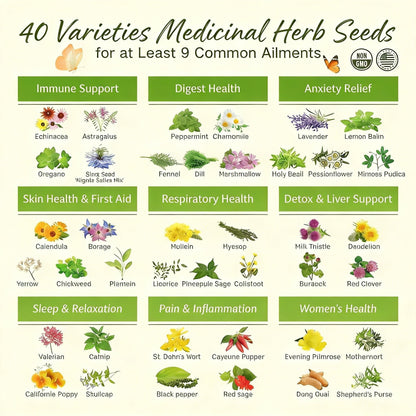 The Ancestral Apothecary Seed Chest: 40 Varieties of Medicinal Herb Seeds