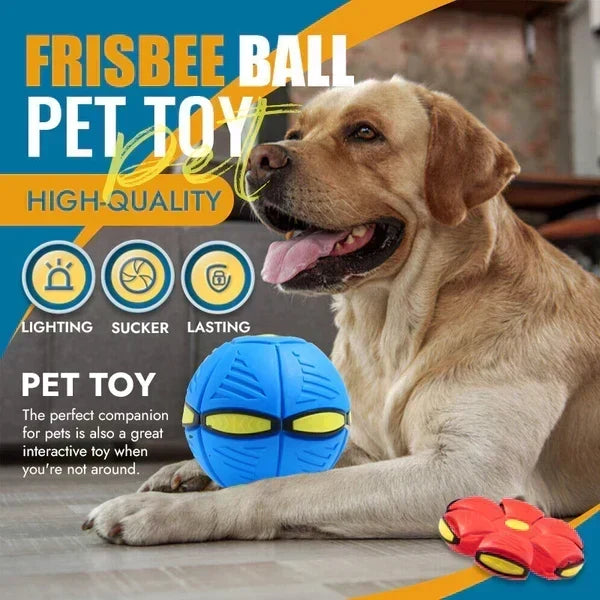 The World's Best 2-in-1 Interactive Toy To Keep Your Dog Entertained For Hours!